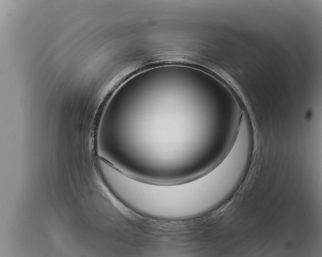 X0000112821285200908281522