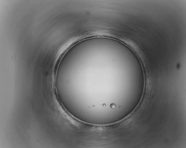 X0000112821286200908281522