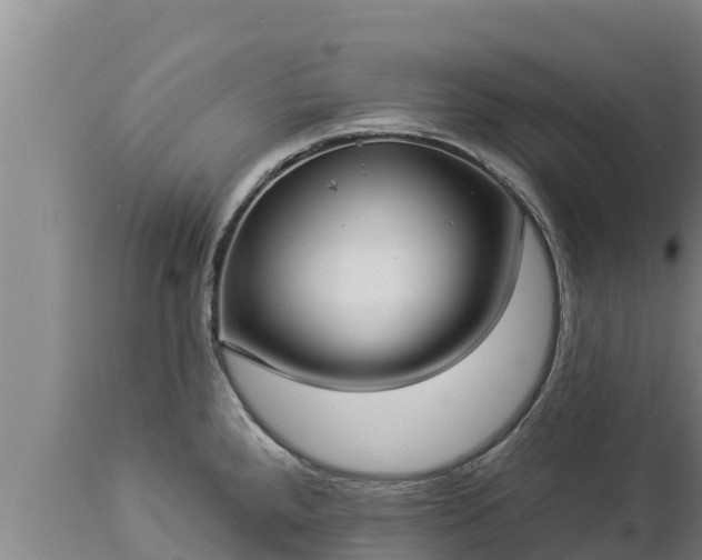 X0000112821288200908281522
