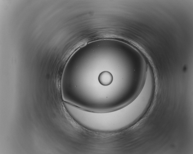 X0000112821289200908281522