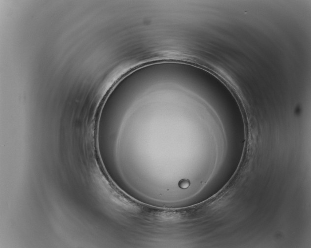 X0000112821291200908281522