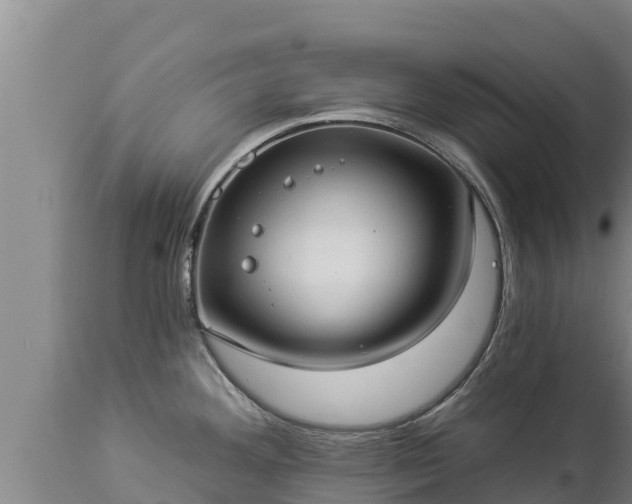 X0000112821292200908281522