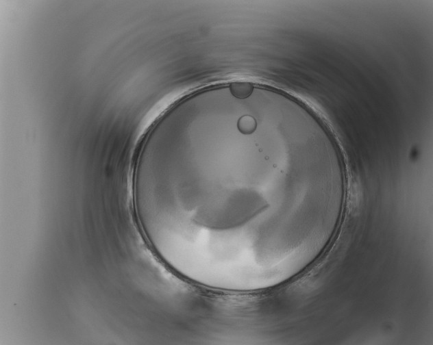 X0000112821294200908281522