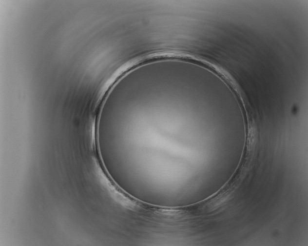 X0000112821295200908281522