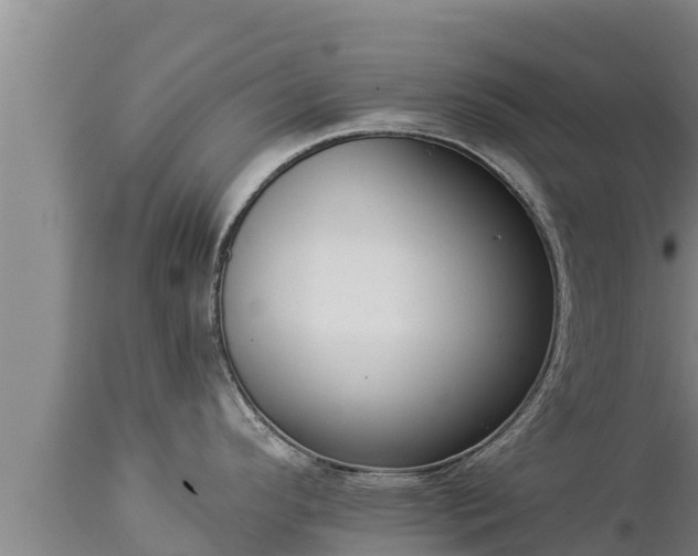X0000112821296200908281522