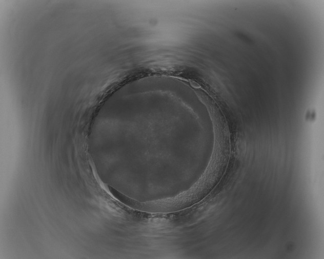 X0000112821297200908281521