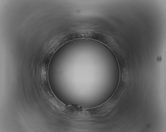 X0000112821298200908281521