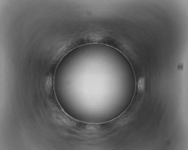 X0000112821299200908281521