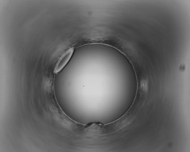 X0000112821300200908281521