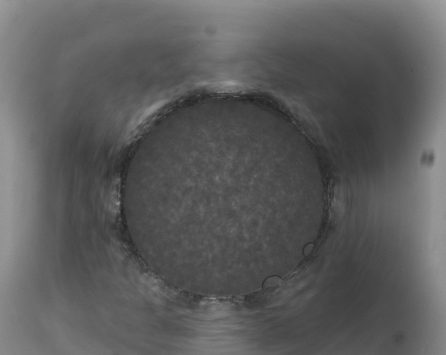 X0000112821301200908281521