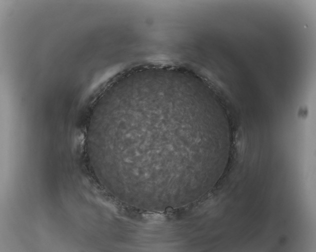 X0000112821302200908281521