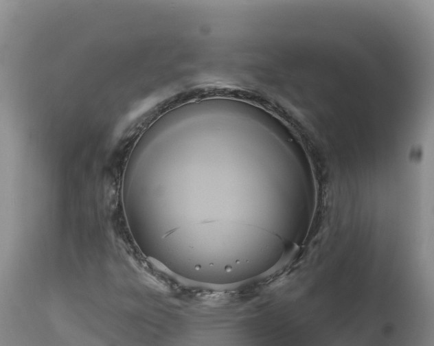 X0000112821303200908281521