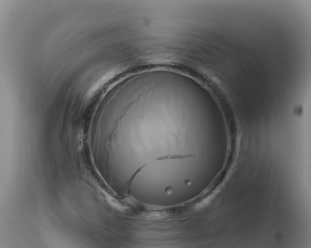 X0000112821306200908281521