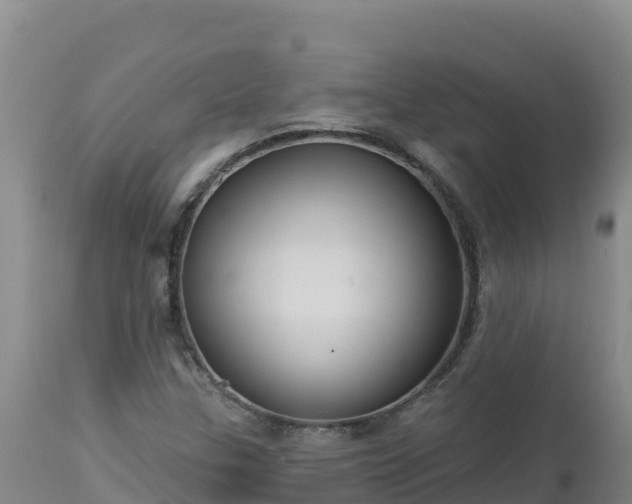 X0000112821307200908281521