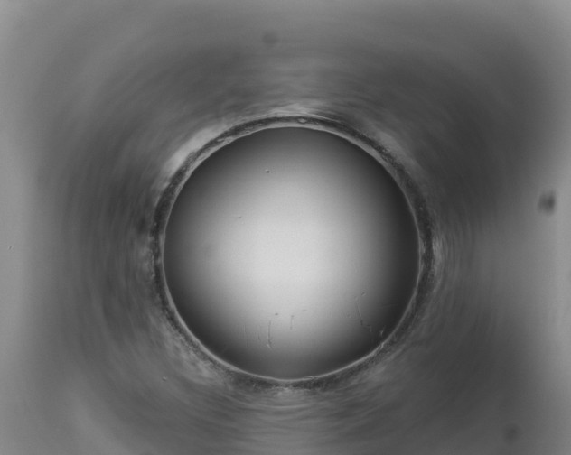 X0000112821308200908281521