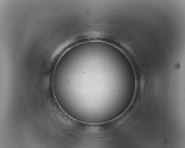 X0000112821309200908281521
