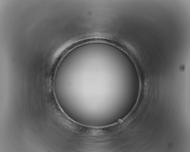 X0000112821310200908281521