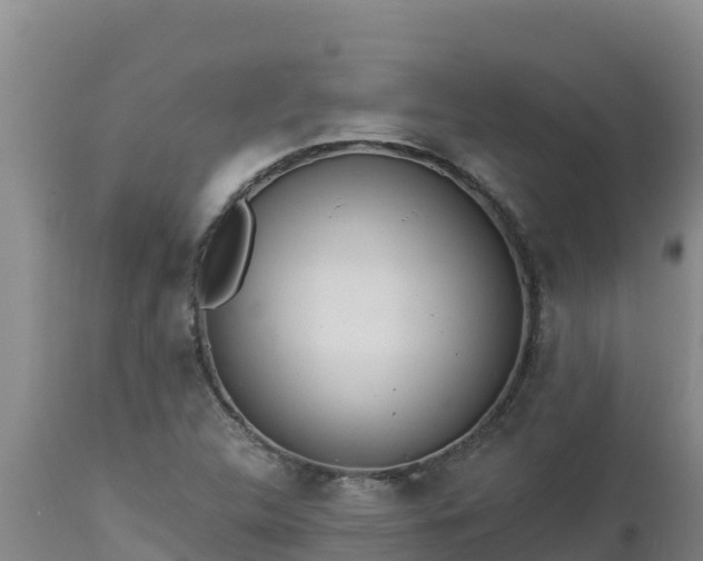 X0000112821312200908281521