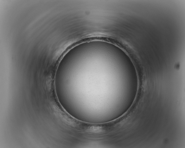 X0000112821313200908281521