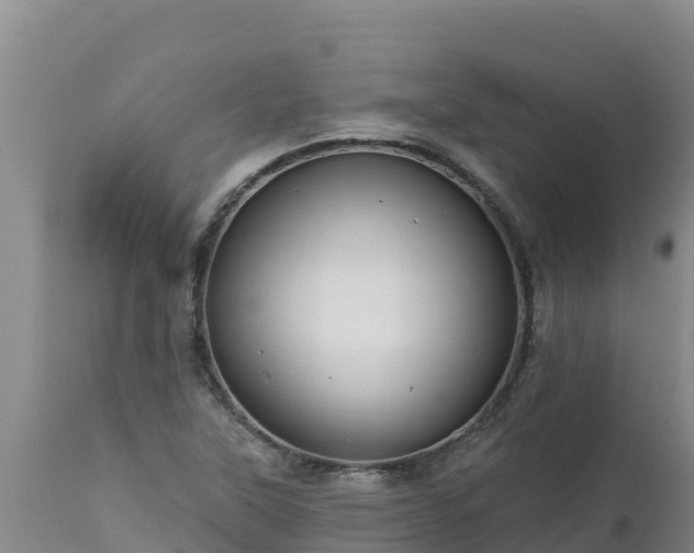 X0000112821315200908281522