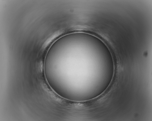X0000112821317200908281522