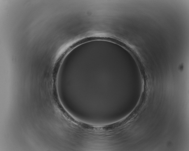 X0000112821319200908281522