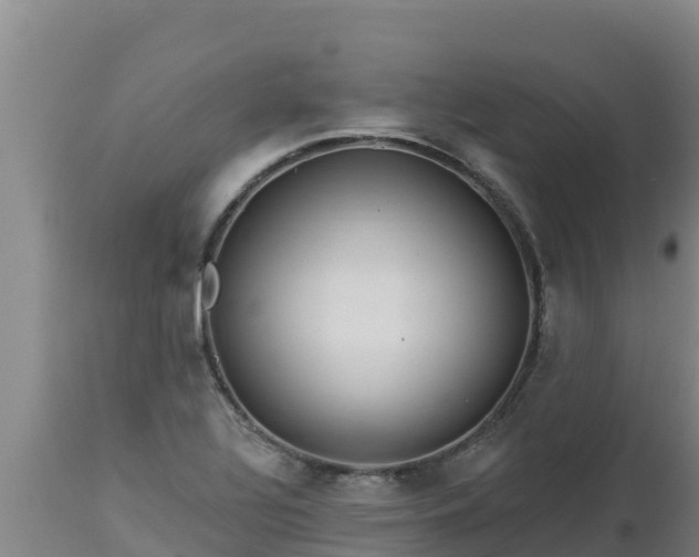 X0000112821320200908281522