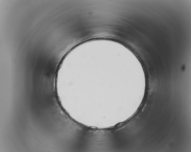 X0000112821322200908281522