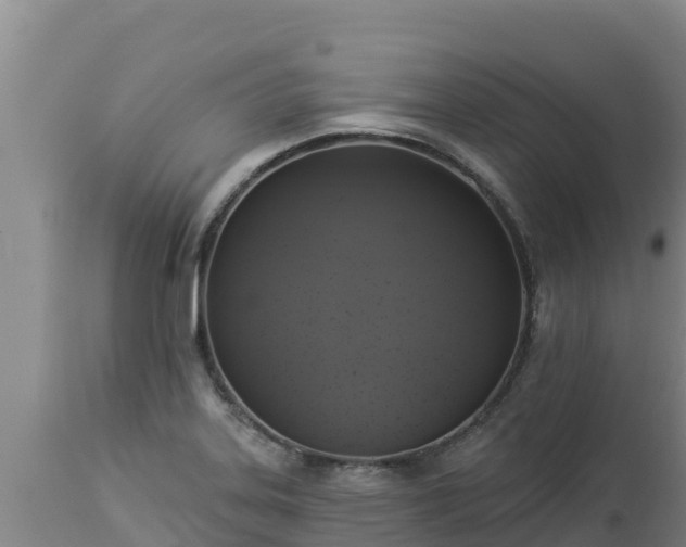 X0000112821323200908281522