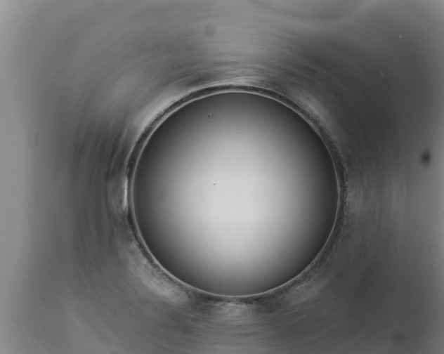 X0000112821324200908281522
