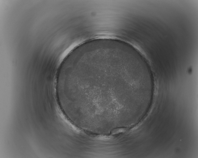 X0000112821325200908281522