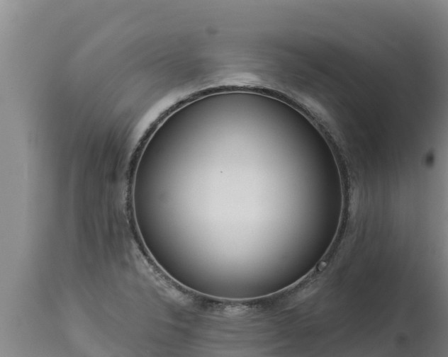X0000112821326200908281522