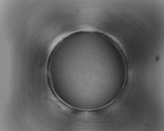 X0000112821327200908281522