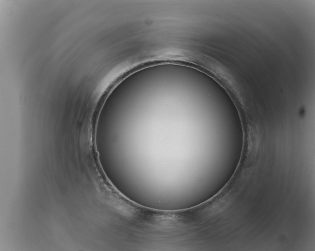 X0000112821328200908281522