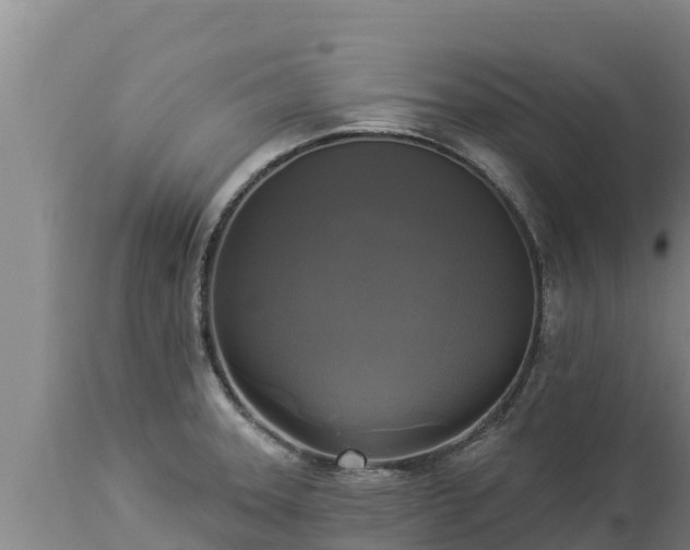 X0000112821331200908281522