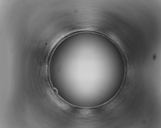 X0000112821332200908281522