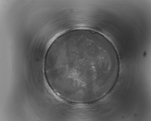 X0000112821333200908281522