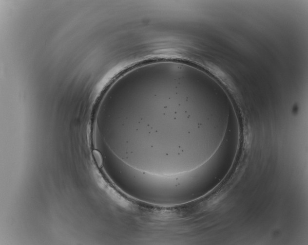 X0000112821334200908281522