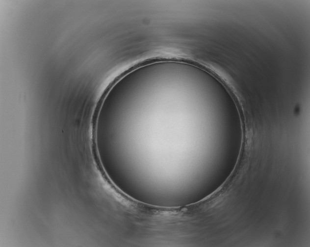X0000112821335200908281522
