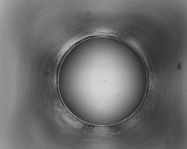 X0000112821336200908281522