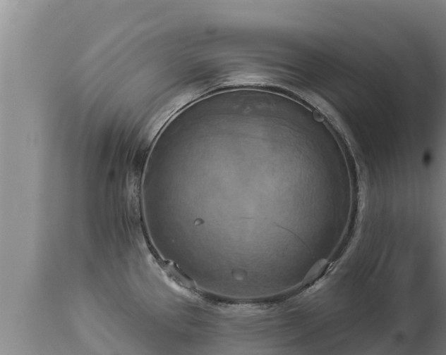 X0000112821337200908281522