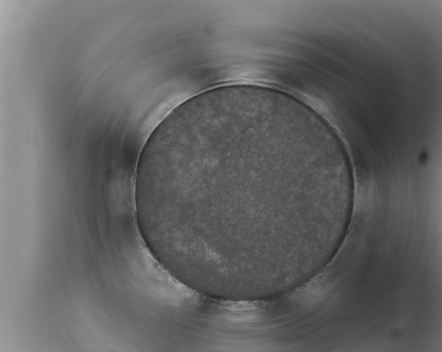 X0000112821338200908281522