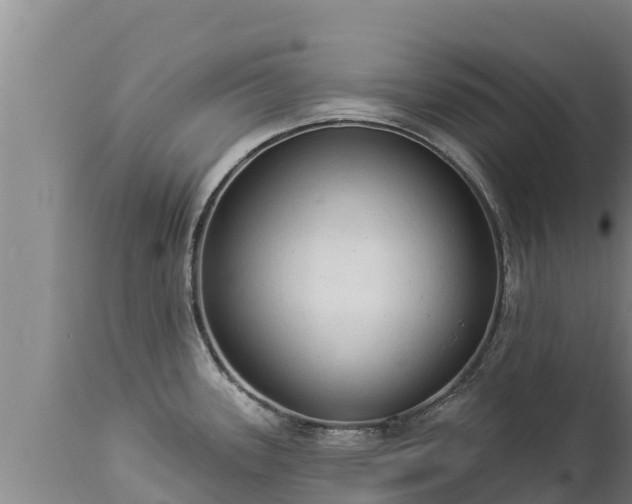 X0000112821339200908281522