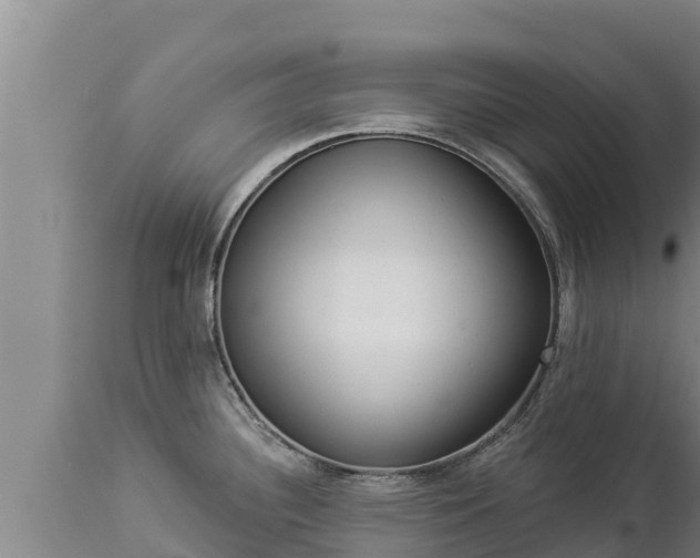 X0000112821340200908281522