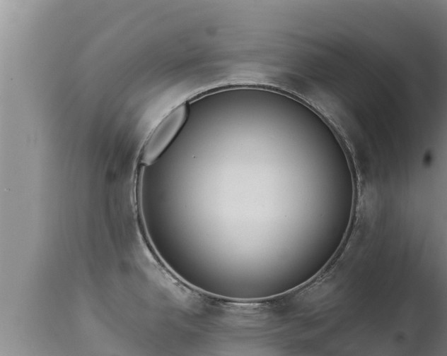X0000112821342200908281522