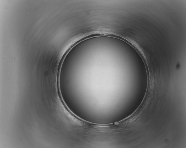X0000112821343200908281522