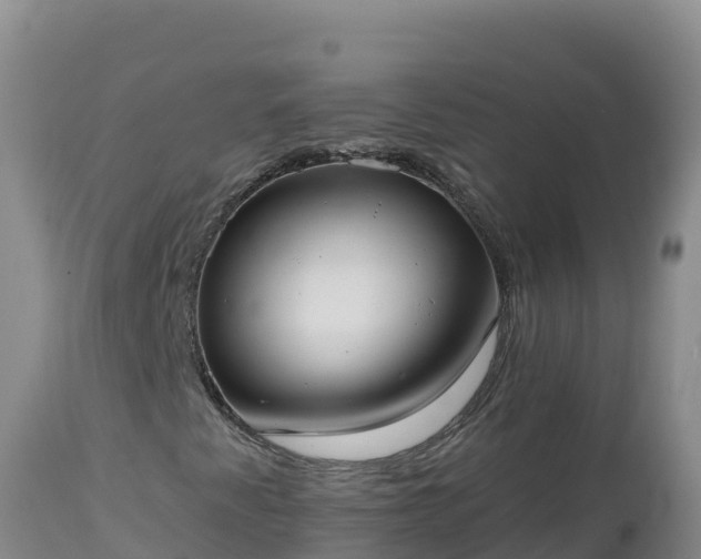 X0000112821345200908281521