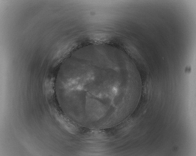 X0000112821346200908281521