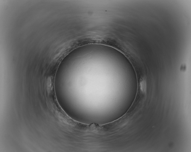X0000112821347200908281521