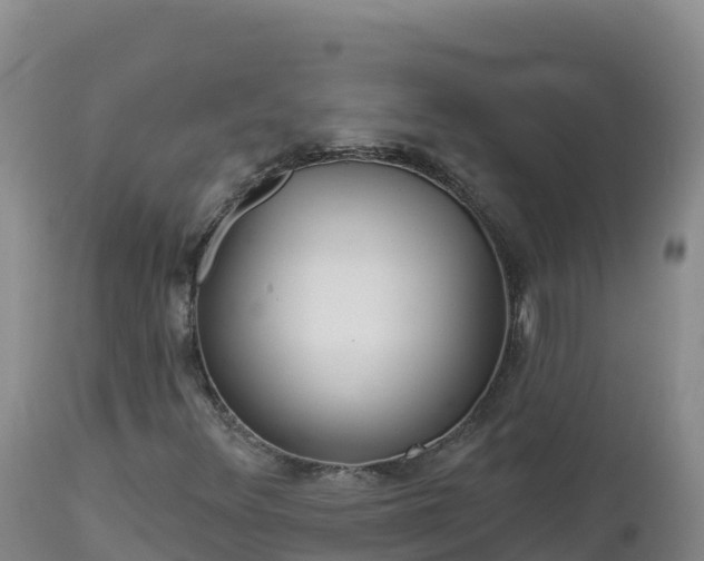 X0000112821348200908281521
